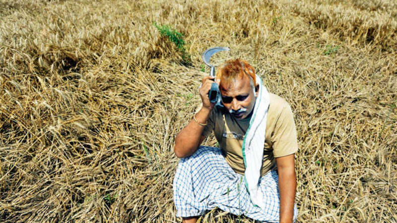 Why Crop Insurance Schemes Fail Poor Farmers When They Are - 