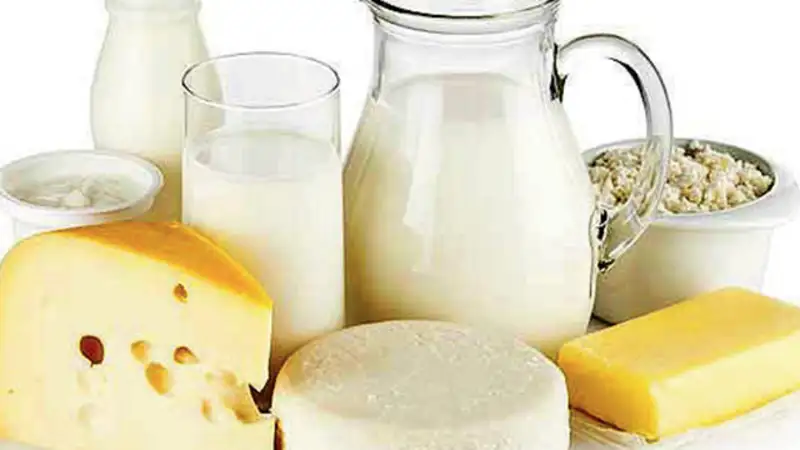 Image result for dairy products