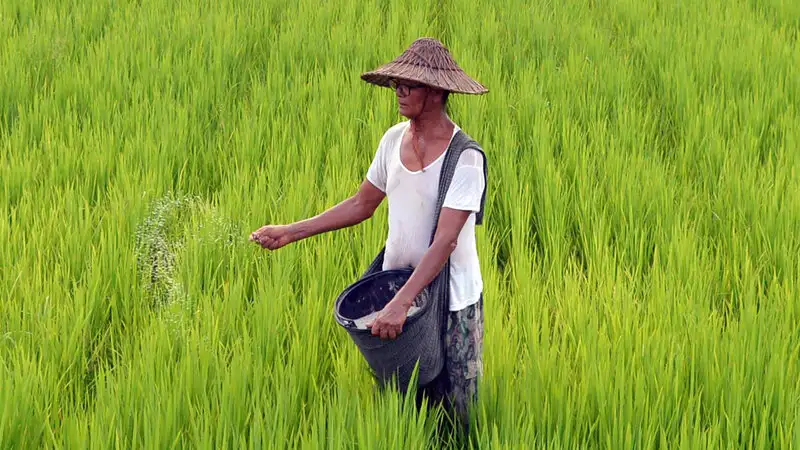 Budget 2019: Plantation sector neglected in Union Budget, says planter's body Budget 2019: Plantation sector neglected in Union Budget, says planter's body