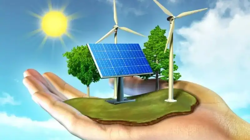 India&rsquo;s green boom sparks fierce race for talent and skills