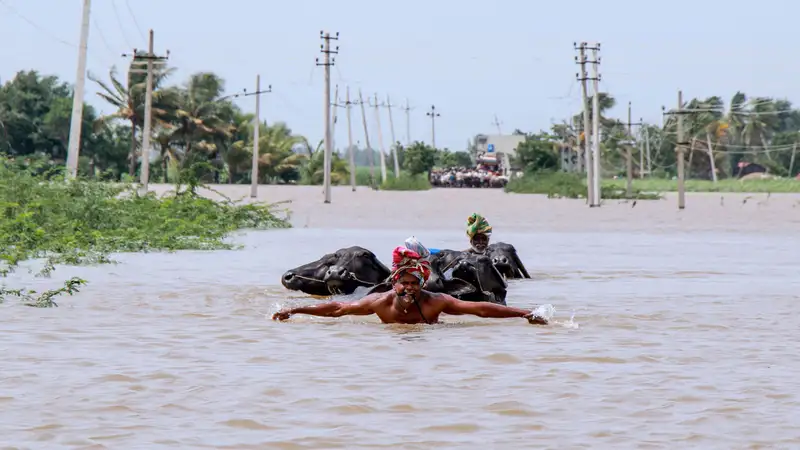 Flood toll at 225 in 4 states; relief operations intensify in Karnataka, Maharashtra but no respite in Kerala Flood toll at 225 in 4 states; relief operations intensify in Karnataka, Maharashtra but no respite in Kerala