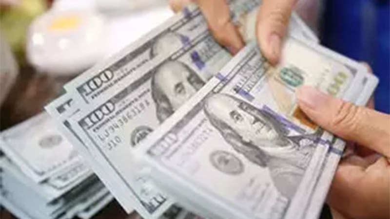 Foreign Exchange Reserves Forex Kitty Continues To Scale New Peaks - 