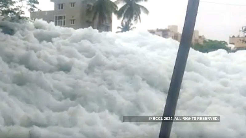 Two Rains Are Enough For Bellandur Lake To Froth The Economic Times - 