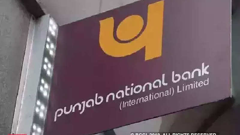 Pnb S 45 Million Fraud Claim Dismissed By English Court The - 