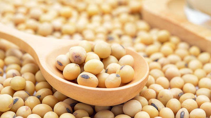 Image result for soya bean