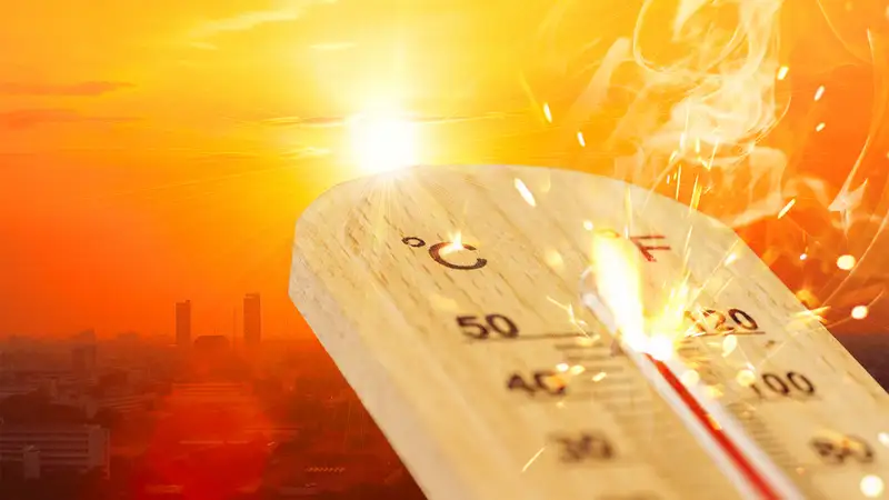 Heat Wave Summer Vacation Extended By A Week In Delhi Schools For - 