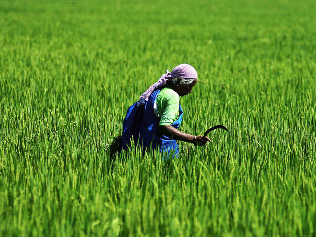 Indian Government Announces New Farmer Pension Scheme