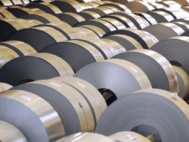 India takes European Union to WTO's safeguard committee over duty on steel products India takes European Union to WTO's safeguard committee over duty on steel products