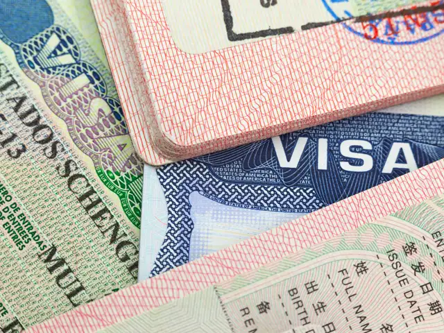 Rcep India Fails To Find Support For Visa Free Biz Travel Among 15