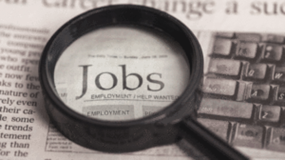 Telecom sector hiring up 13% in September, shows Monster Employment Index