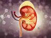 Kidney stone prevention: 6 foods to avoid & what to eat instead