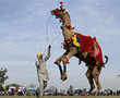 Following ban on animal races, rural Olympics is losing its charm