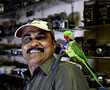 This 'birdman' feeds thousands of parakeets at his home everyday