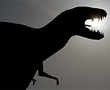 New evidence unearthed on extinction of dinosaurs