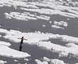 Yamuna river bubbles with toxic foam