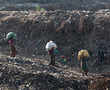 There's no end to waste piling up at Delhi's landfill