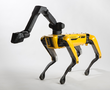 Animal-like robots to go on sale from next year