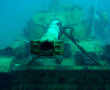 Lebanon sinks old tanks in Mediterranean Sea to create underwater dive 'park'