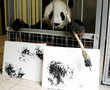 Believe it or not: This cuddly panda's art stroke is worth $560