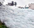It's not Switzerland! Bengaluru's Bellandur Lake spews 10-ft high toxic foam