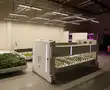 Meet the farmers of the future: Robots