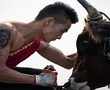 Chinese martial artists take the bull by the horns