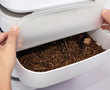 Make a meal of mealworms, Hong Kong startup says