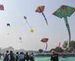 Skies become colourful as Gujarat clebrates kite festival