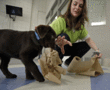 How these young "Hero Pups" are getting trained by jail inmates