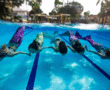 Making a splash at Malaysia's mermaid school