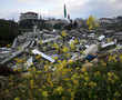 Israeli military demolishes home of Palestinian attacker