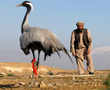 In Afghanistan, bird hunting brings some hope for hunters