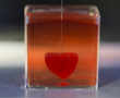 Israeli scientists unveil 3D-printed heart