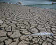 India had driest June in five years, fears for crops