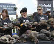 Opposing rallies mark 'dog meat day' in South Korea