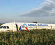 Russian Airbus makes emergency landing in corn field