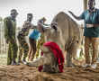 Scientists a step closer to saving northern white rhino from extinction