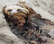 Remains of 227 sacrificed children found in Peru