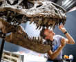 What kept T-rex cool? A giant AC inside its head