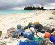 Iconic Pacific bird sanctuary ravaged by plastic and death