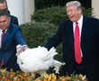 Some Thanksgiving menus: Turkey, with a side of impeachment