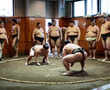 Key facts about sumo, a sport like no other