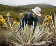 This botanist is risking his life to preserve nature's memory
