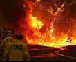 Burned tigers, rescued kangaroos: Australia bushfire disinformation