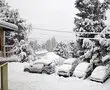 Snow has Himachal in deep freeze