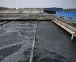Protecting Yangtze river! Citizens battle to save China's 'cancer villages'