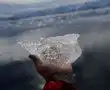Antarctica sets record high temperature Antarctica sets record high temperature