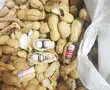 Shocking! Rs 45 lakh hidden in peanuts, meatballs seized at Delhi Airport