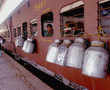 Indian Railways delivers camel milk for autistic child