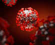 America says coronavirus is not man-made